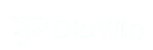 Diuwin-game-logo